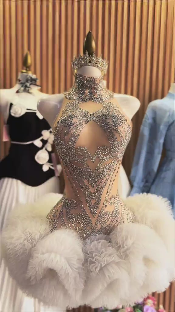 Vestido Crystal Swan